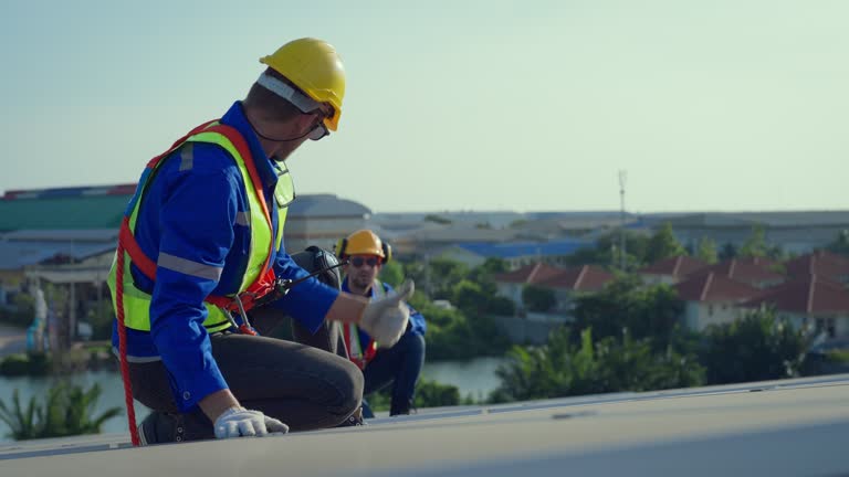 Best Roof Moss and Algae Removal  in San Lorenzo, CA