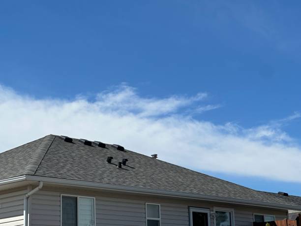 Trusted San Lorenzo, CA Roofing Service Experts
